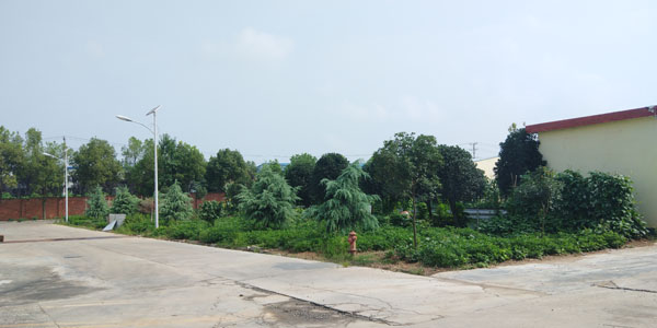 �S�^(q��)����